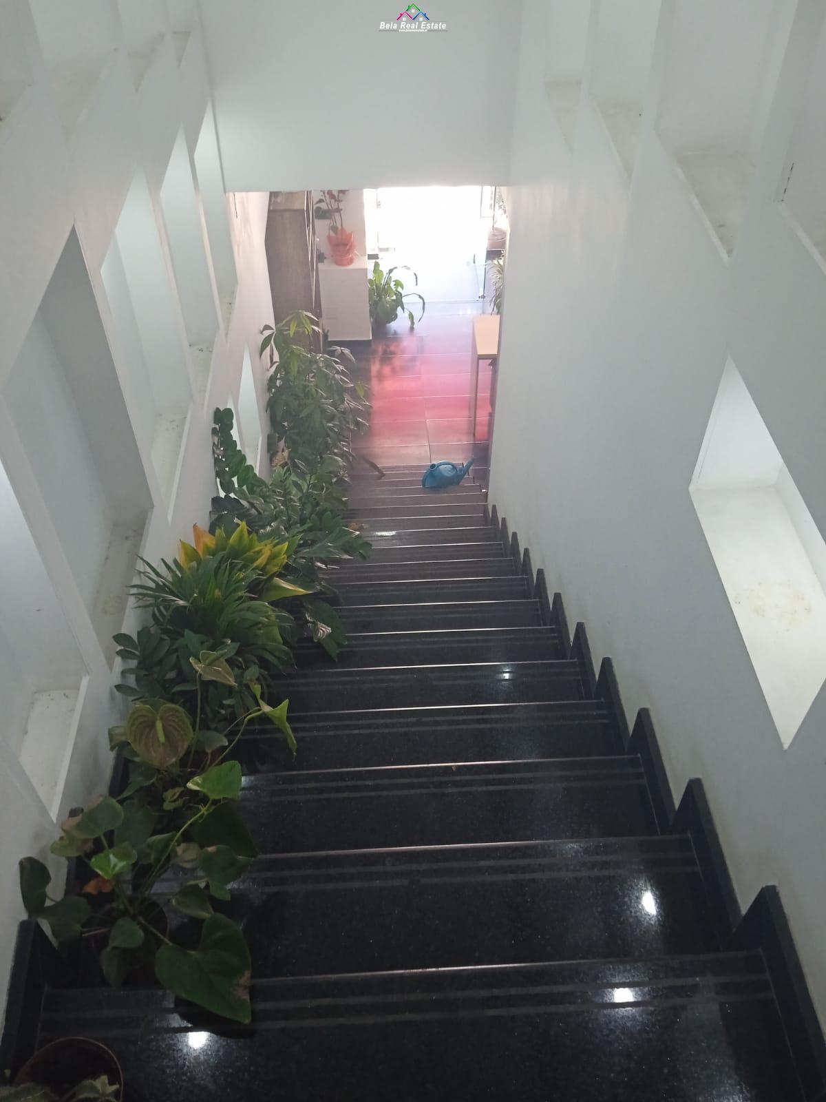 WhatsApp Image 2022-04-27 at 2.45.21 PM (1)
