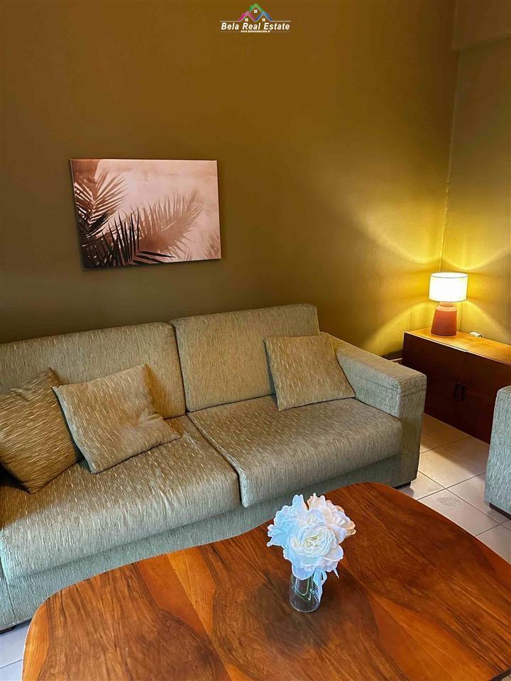 apartament-me-qera-tek-mine-peza (2)